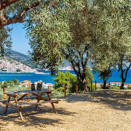 Olive Grove Apartment Скопелос Екстер'єр фото