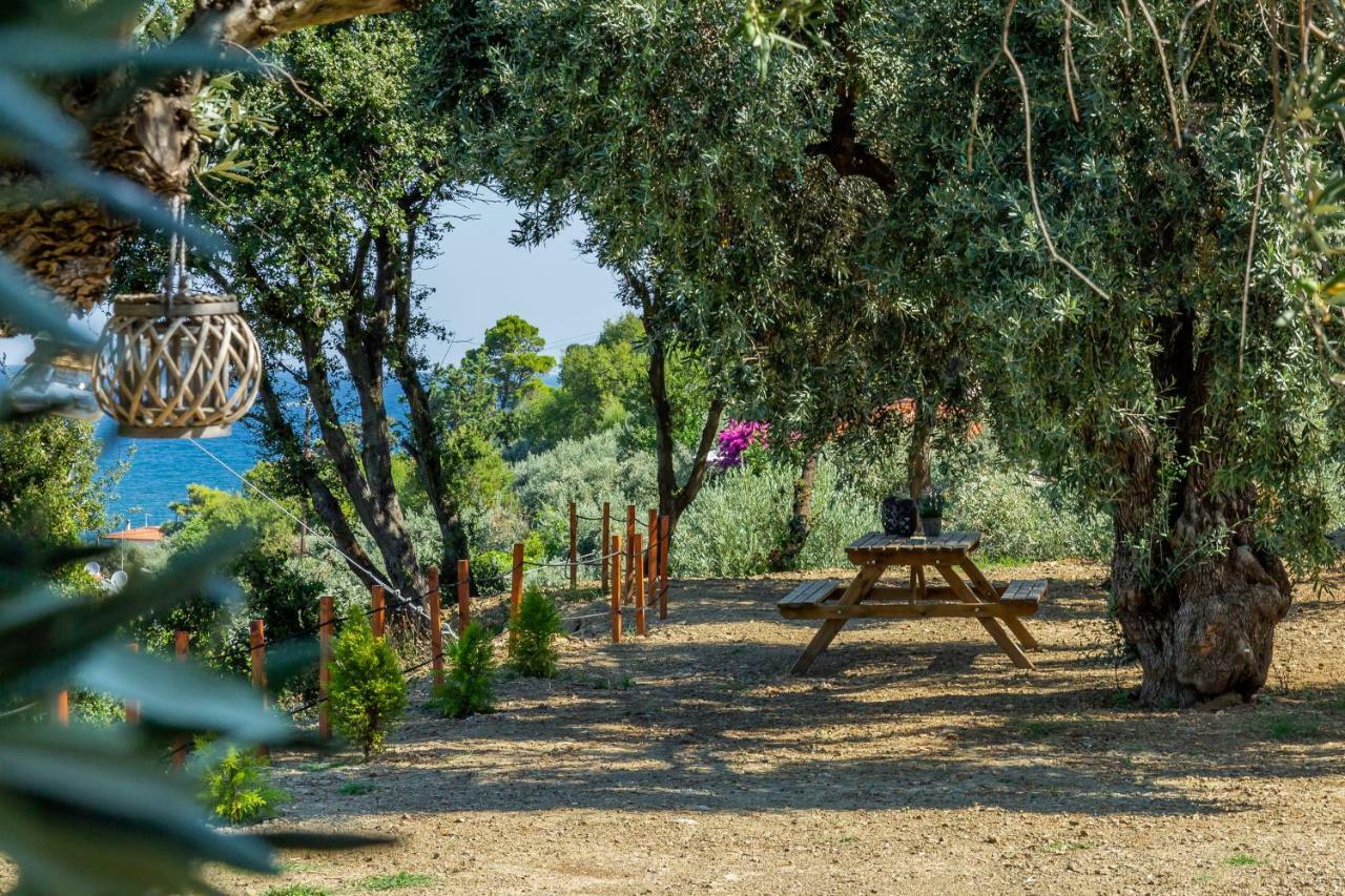 Olive Grove Apartment Скопелос Екстер'єр фото